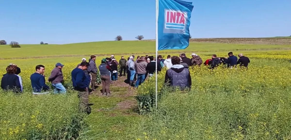 Un golpe para la Agricultura Familiar