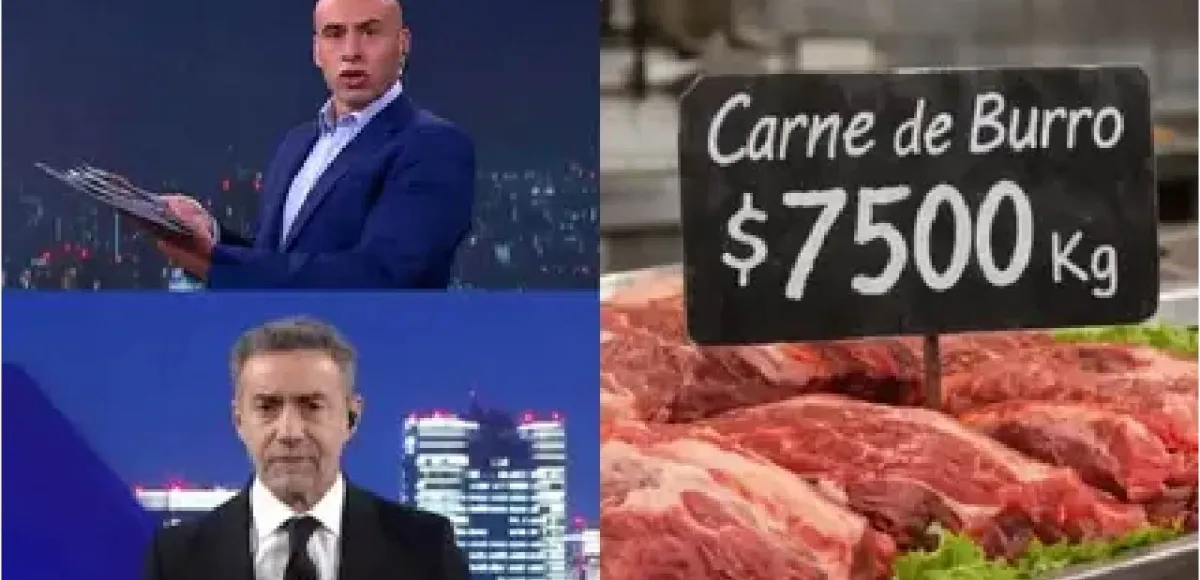 Carne de burro