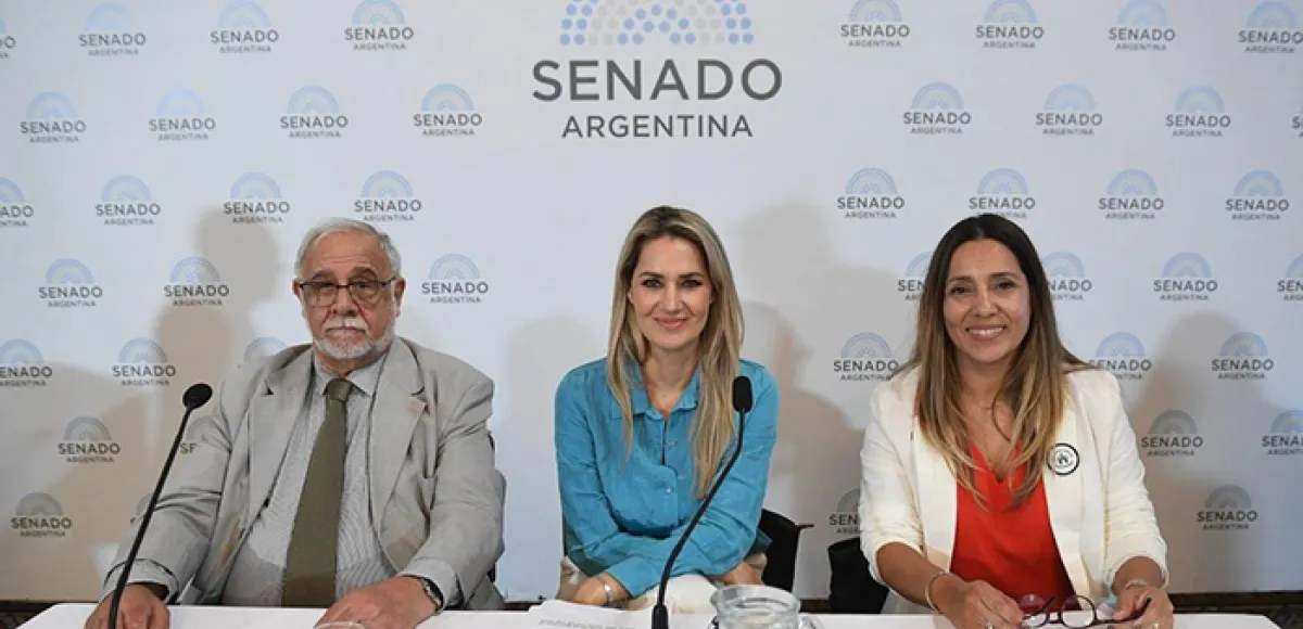 “Falsas denuncias”: otro proyecto antiderechos
