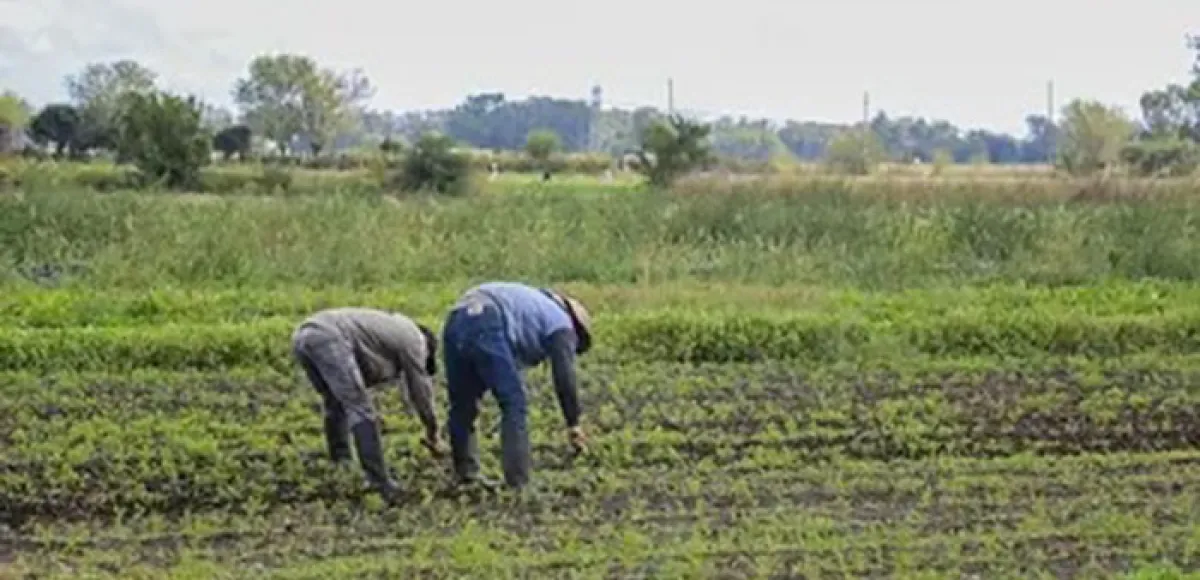 “Vamos a acabar como en la época de La Forestal”