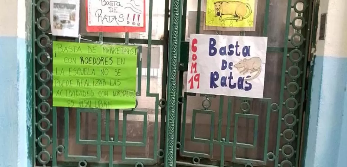 Se fue Larreta, siguen las ratas